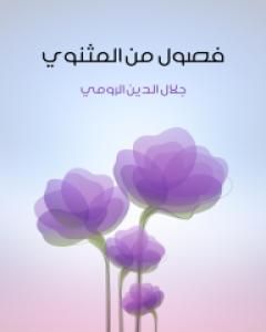 فصول من المثنوي