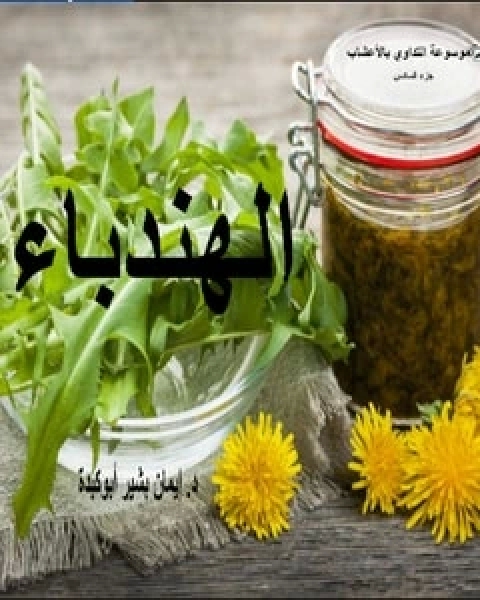 الهندباء