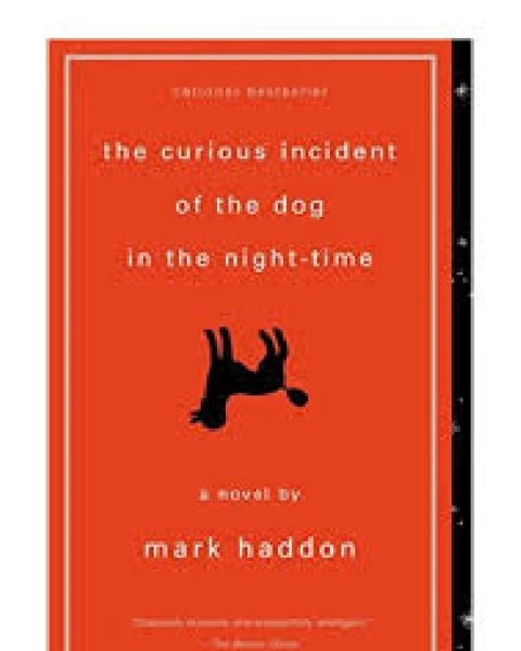 The Curious Incident of the Dog In the Night-Time